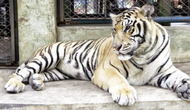 Dozens die in just two weeks at tourist park as urgent investigation launched