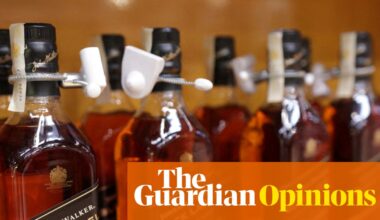 Drastic Dave goes vague at Diageo | Nils Pratley