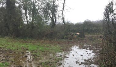 Dorset farmer guilty of failing to prevent risk of pollution