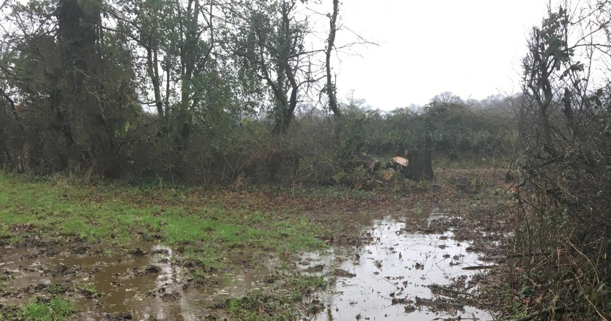 Dorset farmer guilty of failing to prevent risk of pollution