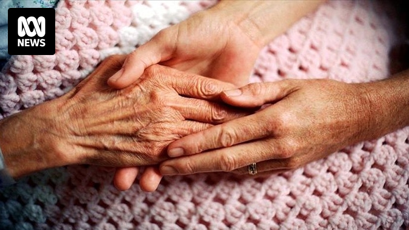 Rise of Australia's public economy is comparable to the mining boom of the 2000s, analyst says