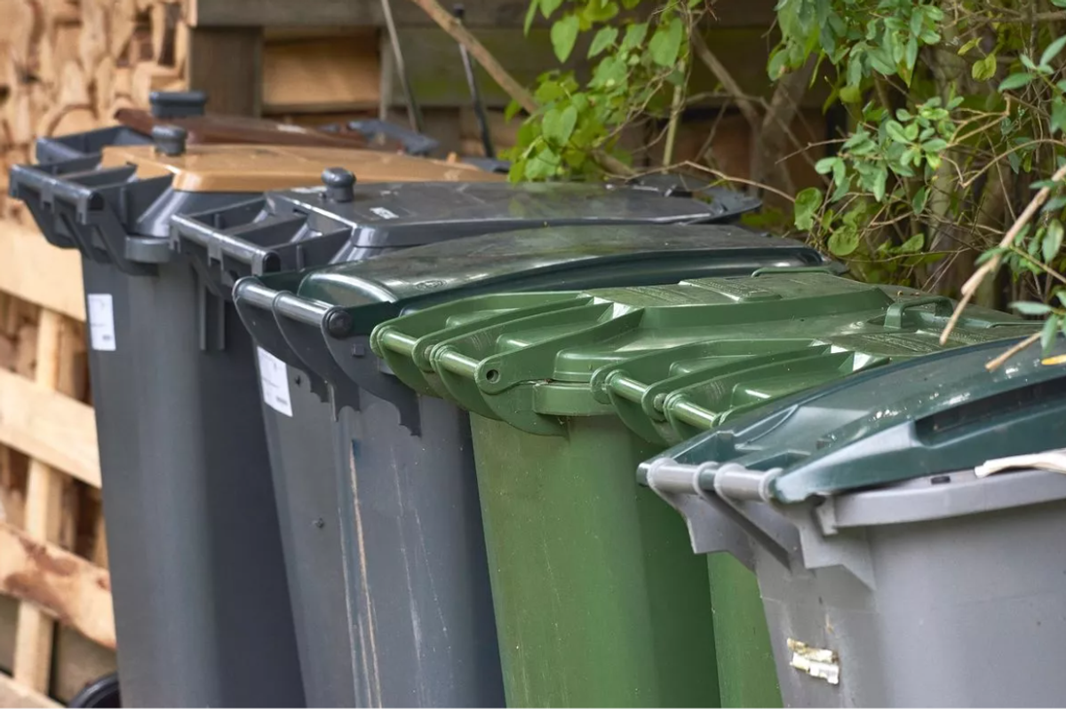 A stock image of wheely bins outside homes.