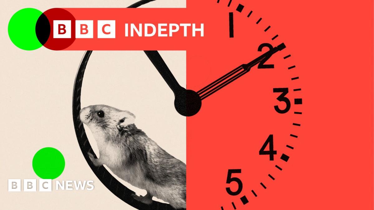 BBC InDepth