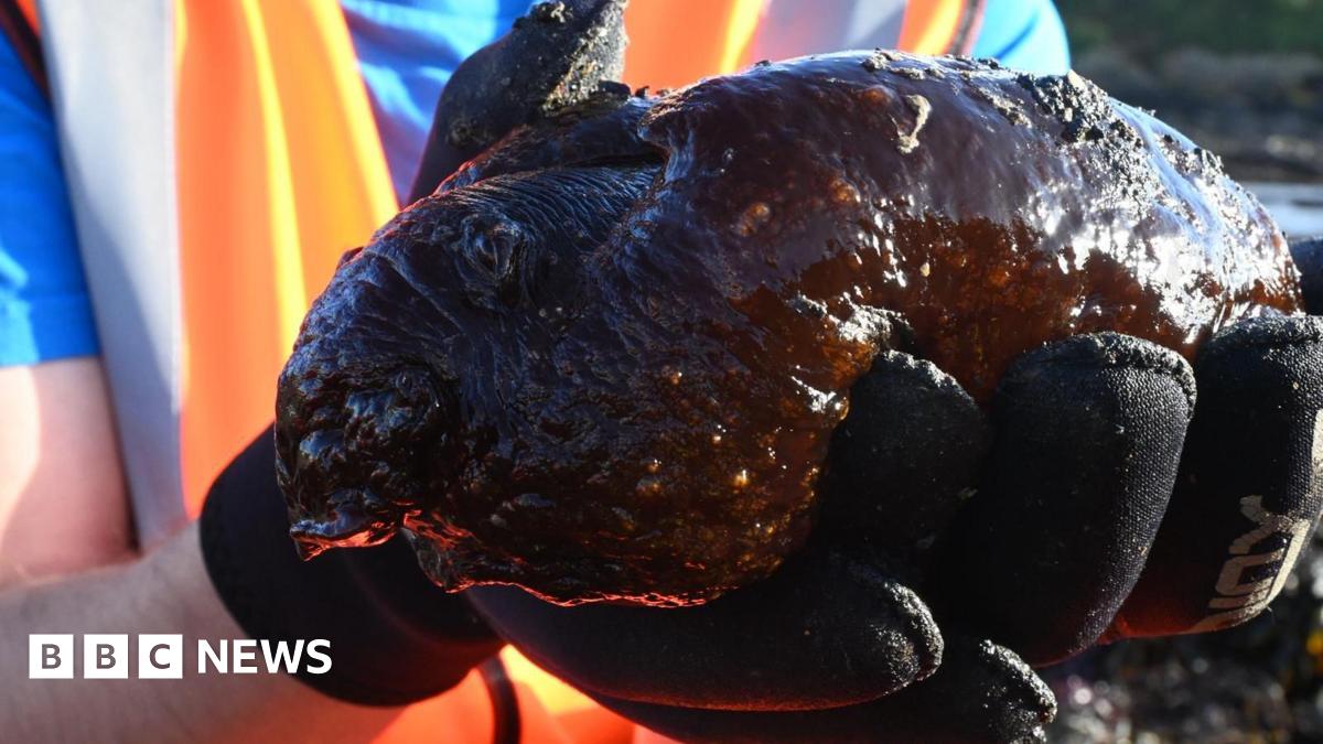 Wasim Hussain at Ragin' Bird in Leicester