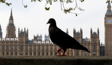 Bill to allow assisted dying in UK expected to fail in Parliament, but local measures advance- Detroit Catholic