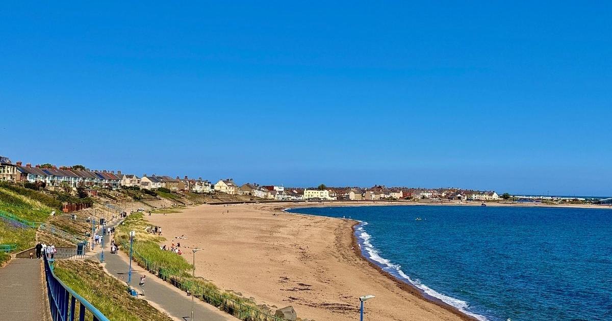 Coastal day trip with dolphin sightings just 1.5 hours from Carlisle