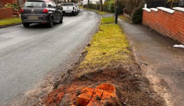 Concerns raised after tree cut down in Oldham conservation area