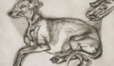 Rare Lucian Freud etchings going on public display in Dorset