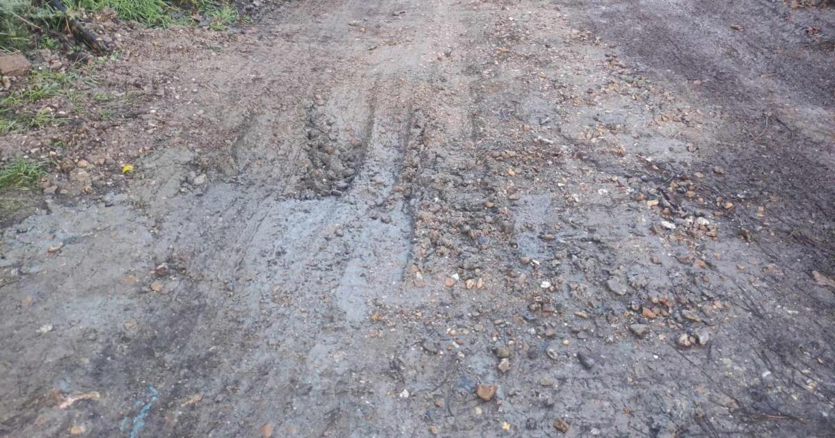 Isle of Wight badger sett filled with concrete 'illegally'