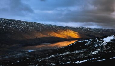 1.5 million trees to be planted by natural capital company