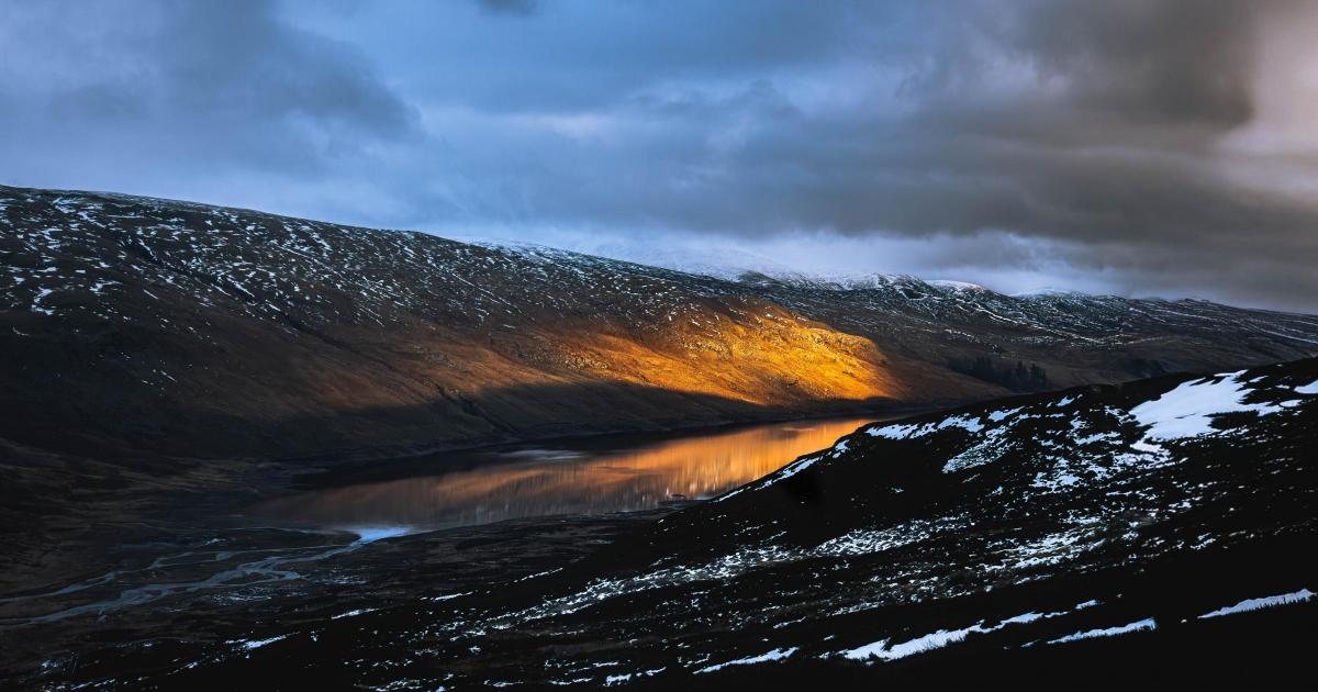 1.5 million trees to be planted by natural capital company