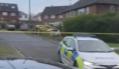 2 dogs detained and girl, 10, hospitalised in Bolton attack