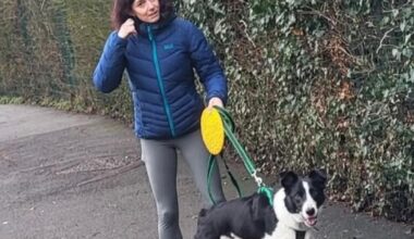 Runner bitten by dog outside Swindon school sparks search