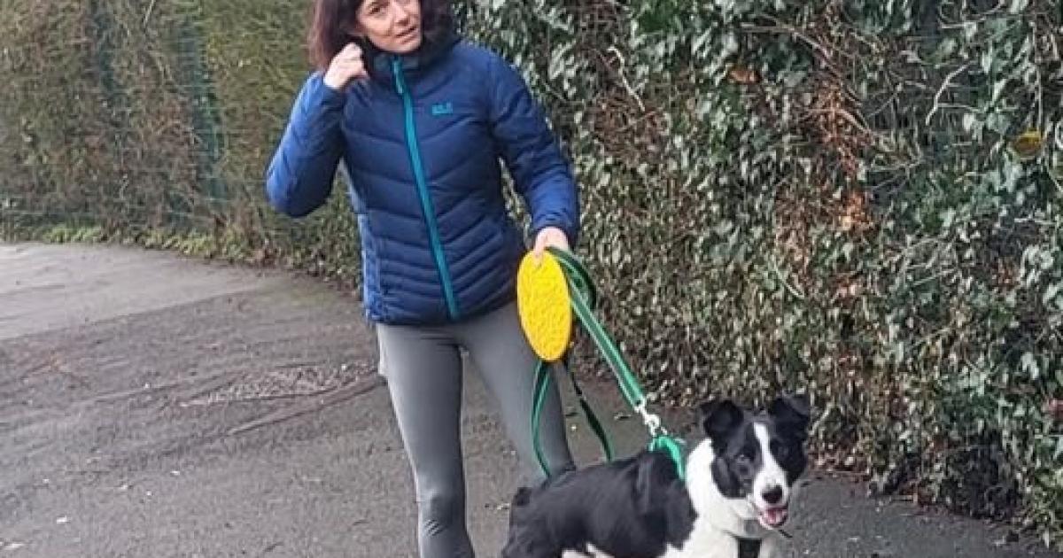 Runner bitten by dog outside Swindon school sparks search