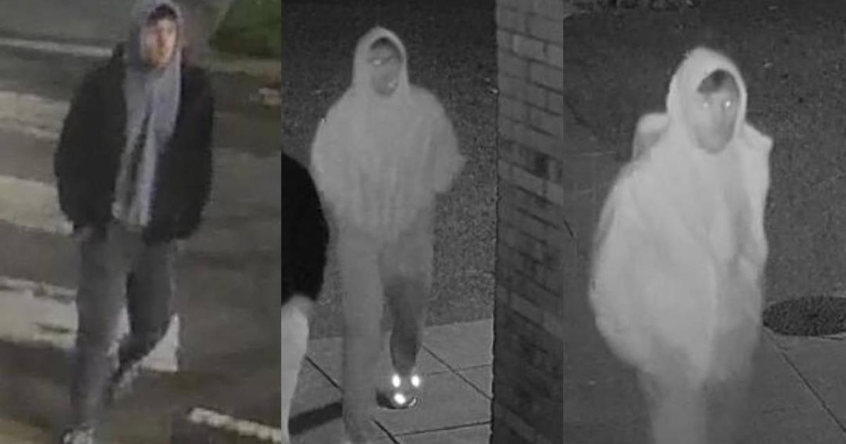 Man reportedly raped at University of Chichester campus