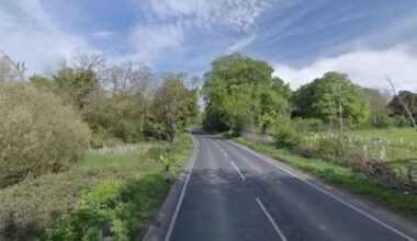 Essex otters found dead at roadside - one with cubs nearby
