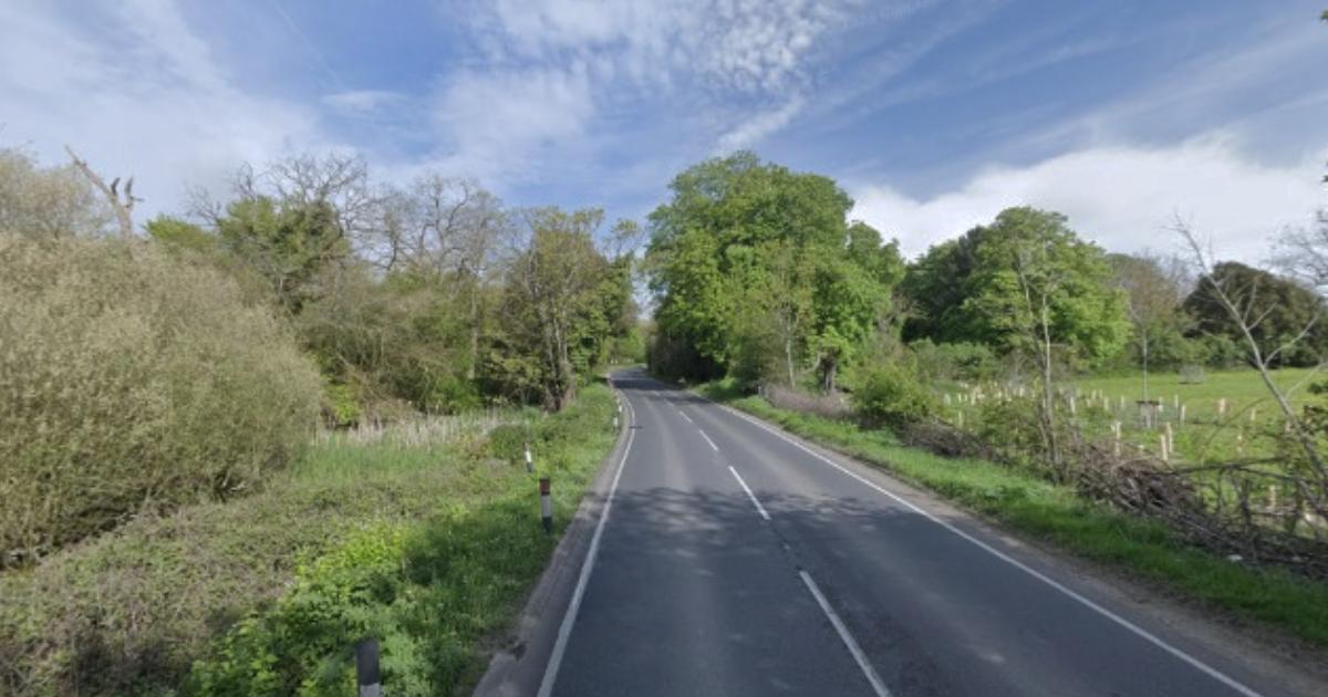 Essex otters found dead at roadside - one with cubs nearby