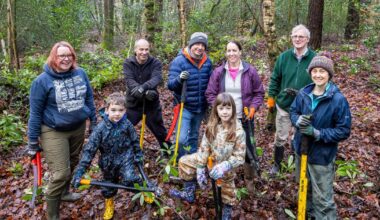 Little Pen Wood granted status as local nature reserve