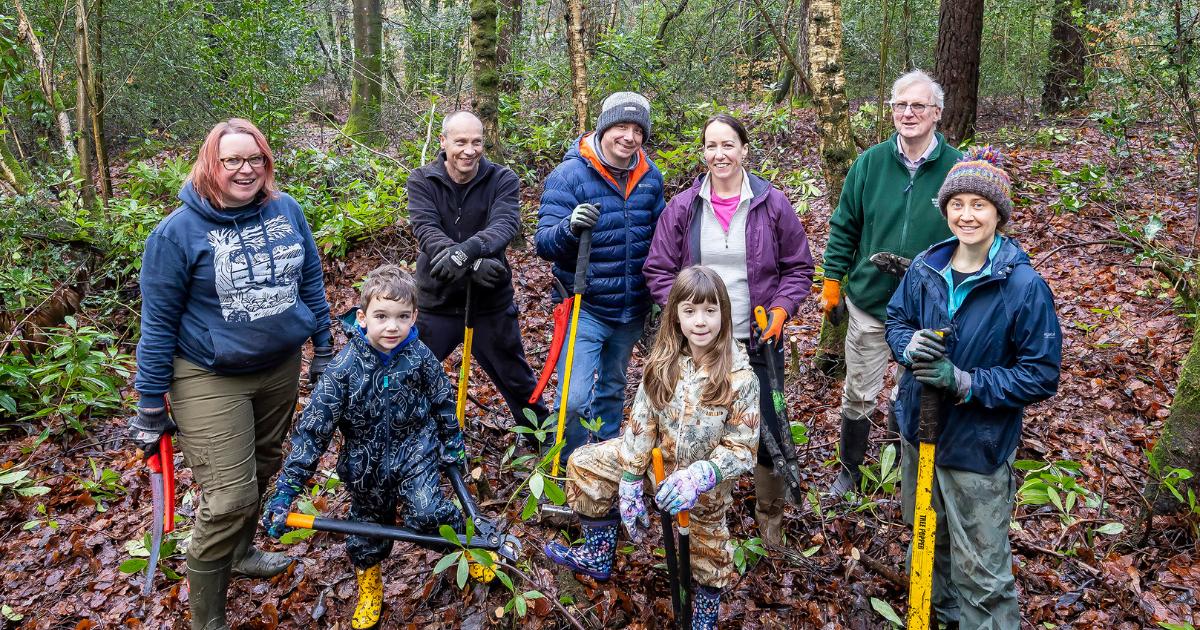 Little Pen Wood granted status as local nature reserve