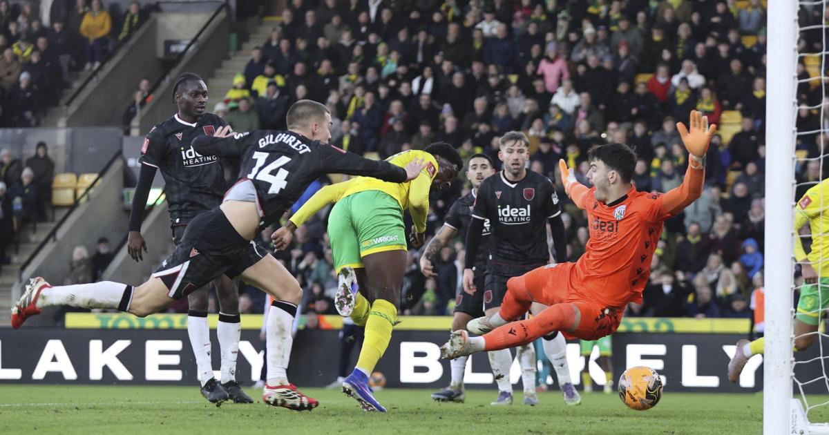 Norwich City 3-1 West Brom: Paddy Davitt FA Cup pointers