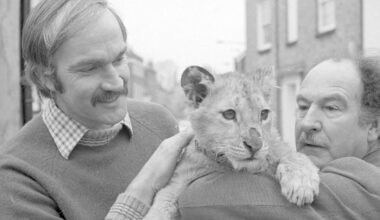 Salisbury archives: Pet lioness cub visits the city
