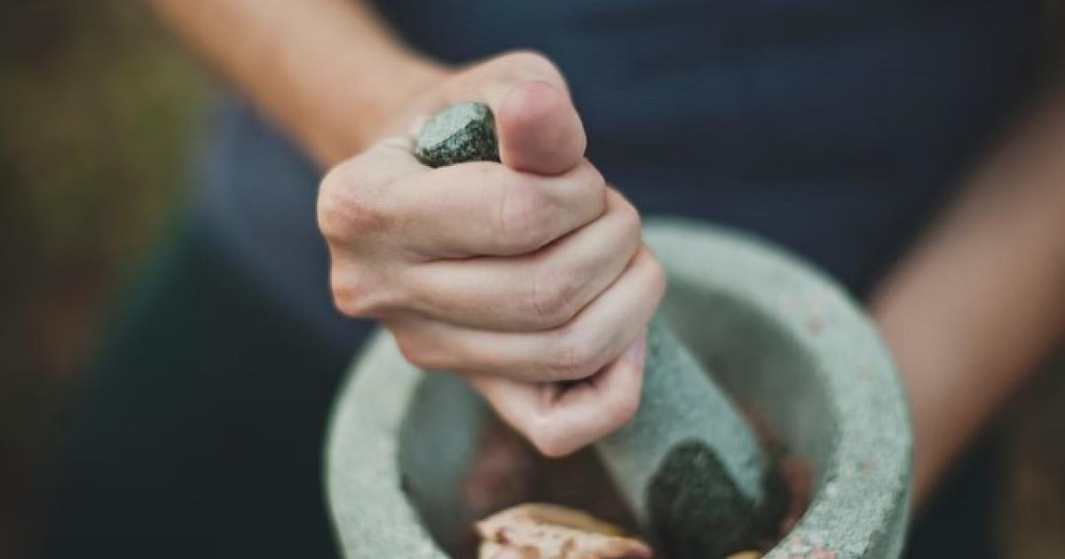 Wild Medicine Walks to take place across Gloucestershire