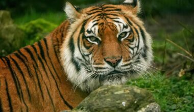 10 stunning Isle of Wight County Press Camera Club photos