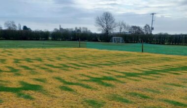 Vandals target Bungay Cricket Club in weedkiller attack