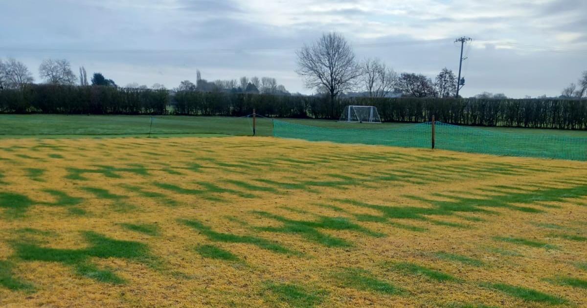 Vandals target Bungay Cricket Club in weedkiller attack