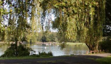 Park Life photography to showcase Moses Gate Country Park