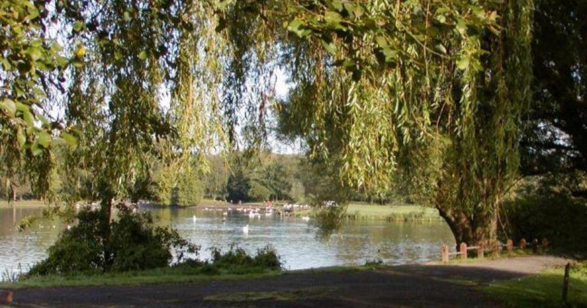 Park Life photography to showcase Moses Gate Country Park