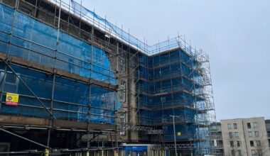 Brighton General Hospital works could devastate swift colony