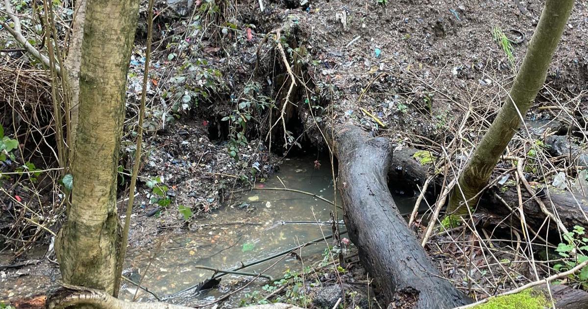 Wadborough fears for polluted brook after waste crime