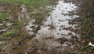 Dorset farmer fined for breaching anti-pollution regulations