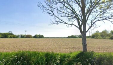 Plans put forward to build four homes in Norfolk village