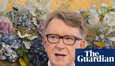 Tories seek disclosure of vetting process for Mandelson’s ambassador role | Peter Mandelson