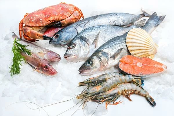 United Kingdom's Frozen Fish and Seafood Market Poised for Steady Growth With 1.8% CAGR Through 2035 - News and Statistics