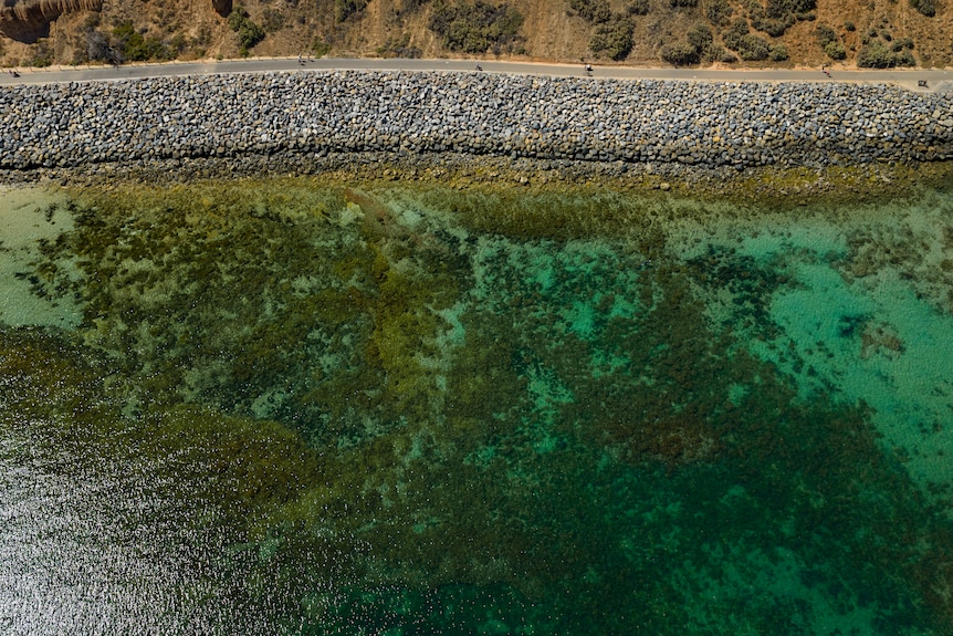 Aerial view of a shoreline with rock walls and a reef underwater