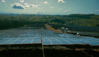 Uniper gives the green light to nearly 288 MWp of new solar developments across Poland and the United Kingdom