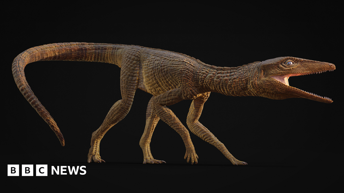 Ancient crocodile species named Jones after teacher from Cardigan