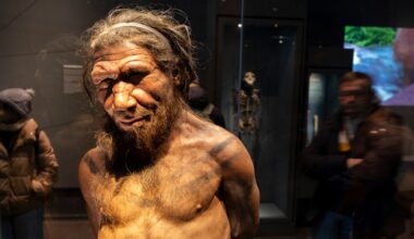 Neanderthal men mated with human women, DNA study suggests
