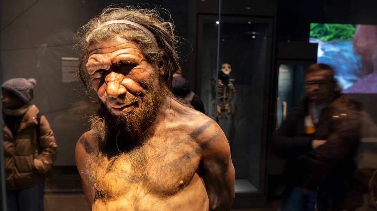 Neanderthal men mated with human women, DNA study suggests
