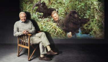 BBC plans David Attenborough celebration for his 100th birthday
