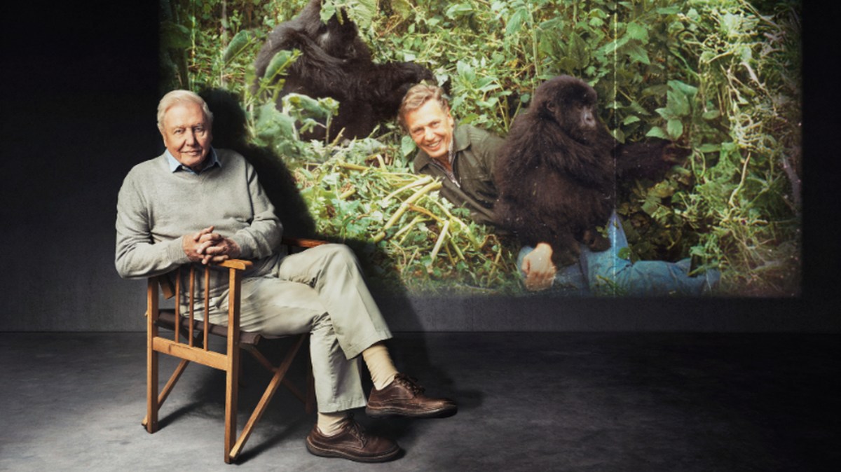 BBC plans David Attenborough celebration for his 100th birthday