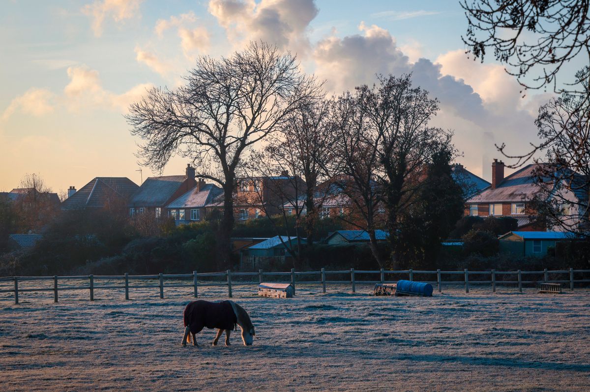 A horse grazes at St Leonard's Riding School in Nottingham Road, Toton, as a heavy frost covers the ground.