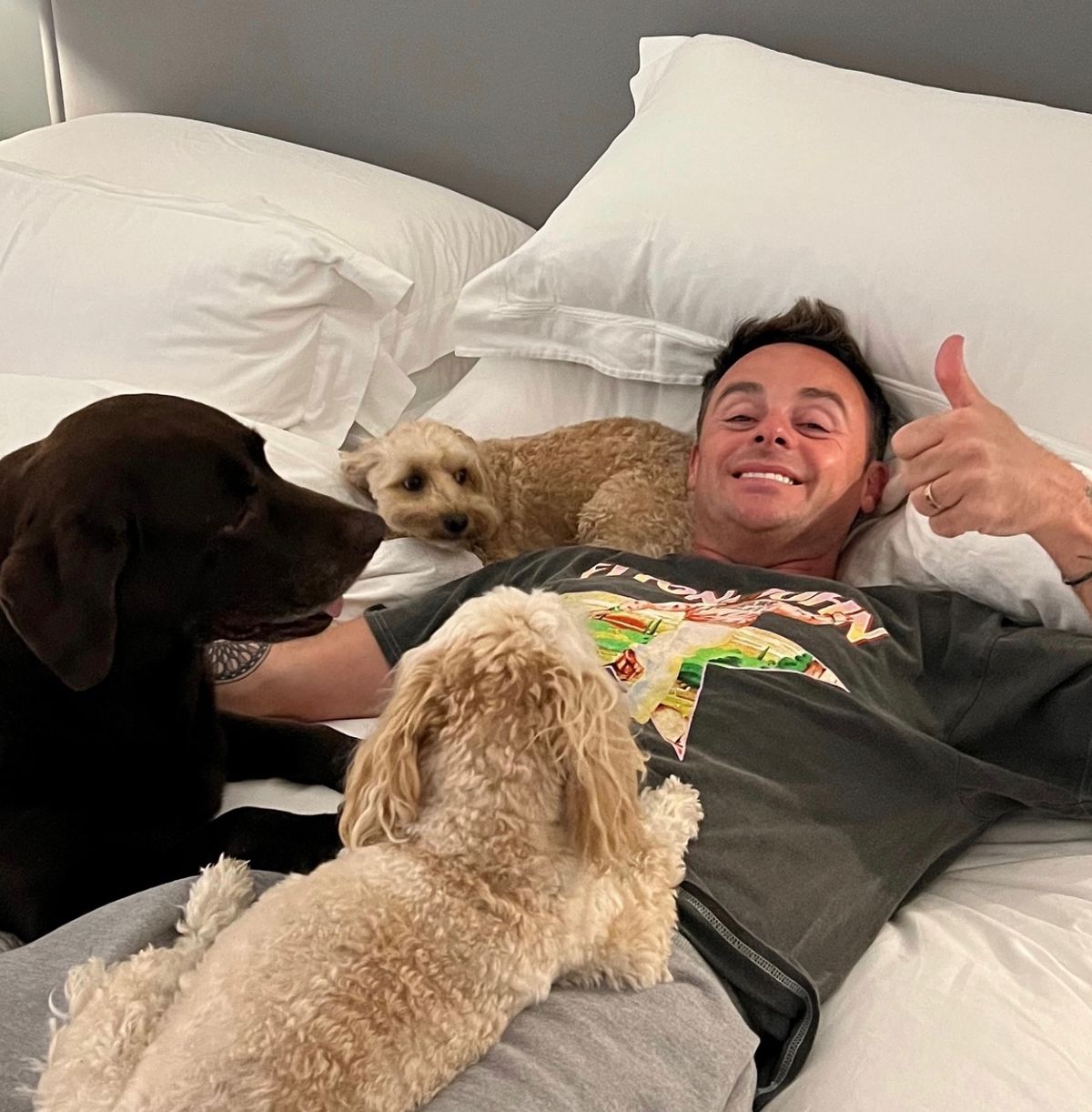 Ant with his pet pooches