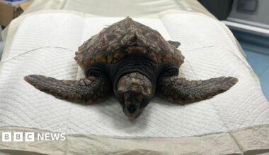 Wasim Hussain at Ragin' Bird in Leicester