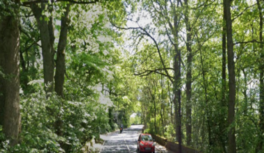 A car and a motorbike drive along a sun dappled road with tree on either side
