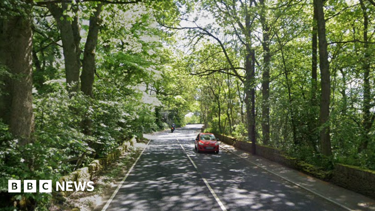 A car and a motorbike drive along a sun dappled road with tree on either side