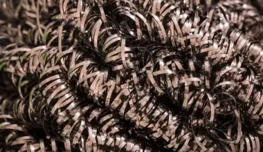 UK's Metal Wool Market Forecast Shows Robust 7.1% CAGR Growth in Value Through 2035 - News and Statistics